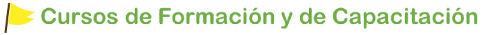 Consultas